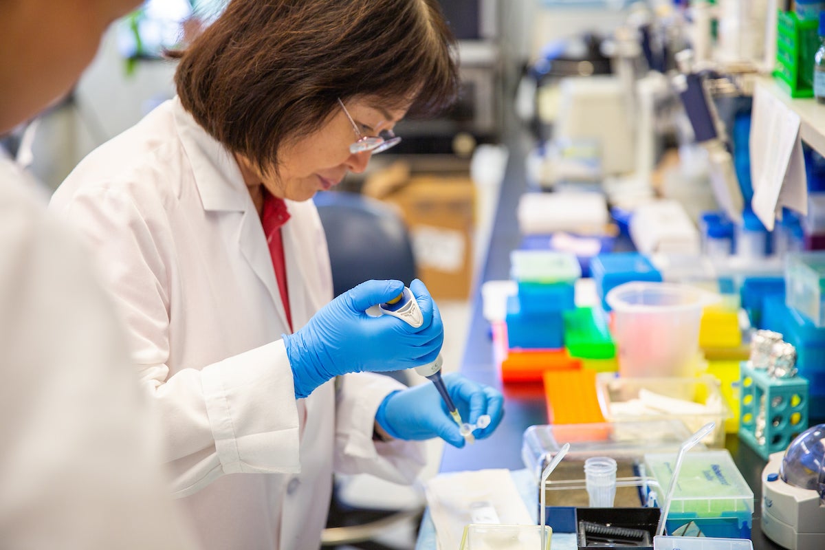 Researcher pipetting