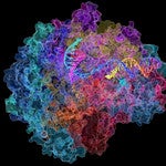 a visualization of a folded protein