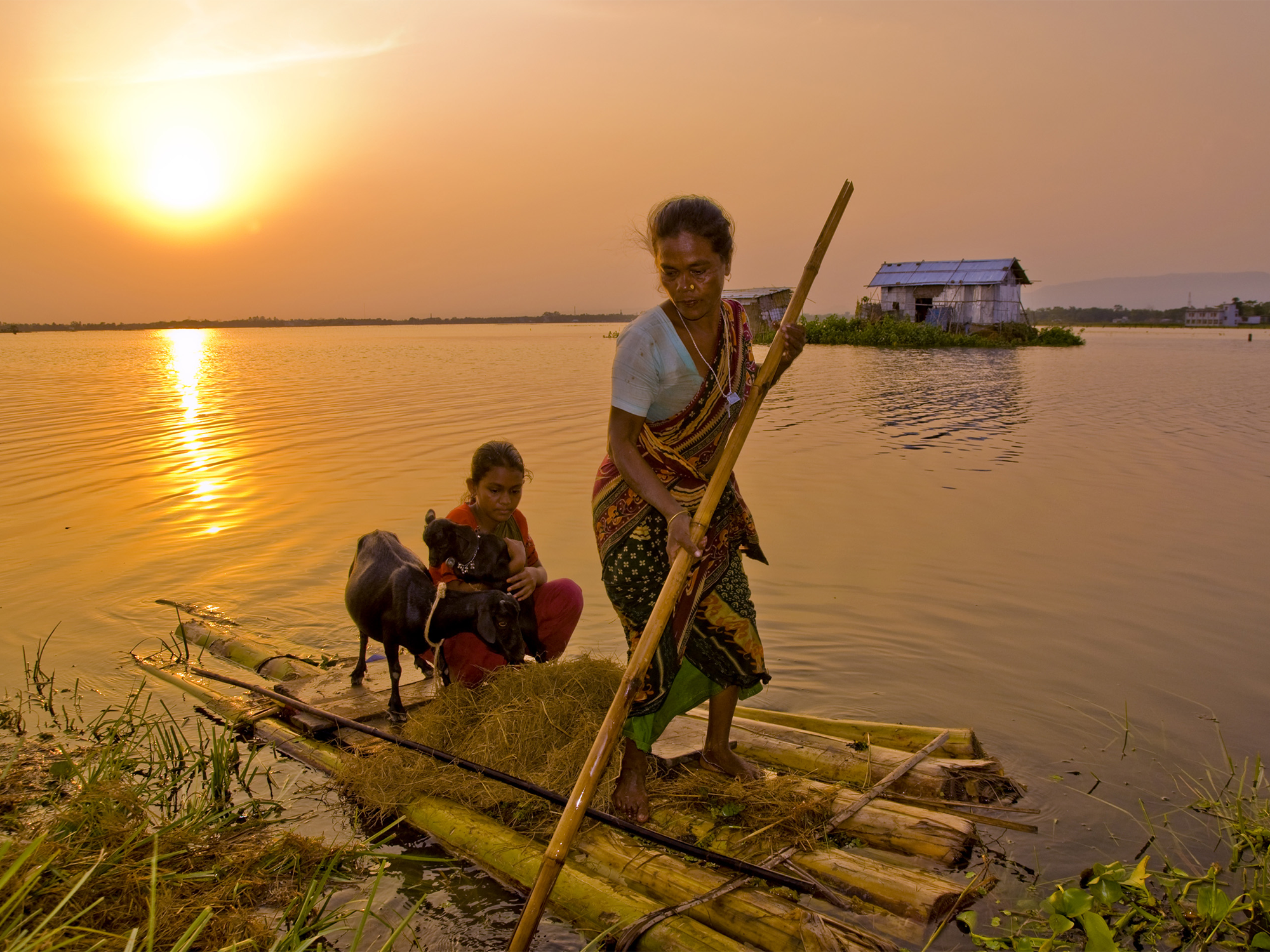 A woman pushes a raft with a child and goats on it through floodwaters in Bangladesh