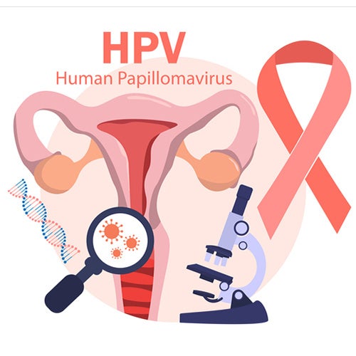Illustration of a uterus, uterine cancer ribbon, microscope and magnifying glass with the words HPV human papillomavirus