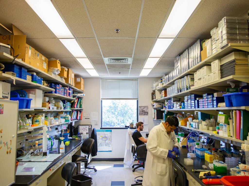 A wide view of a cancer research lab with several individuals working at benches and shelves lined with equipment and boxes
