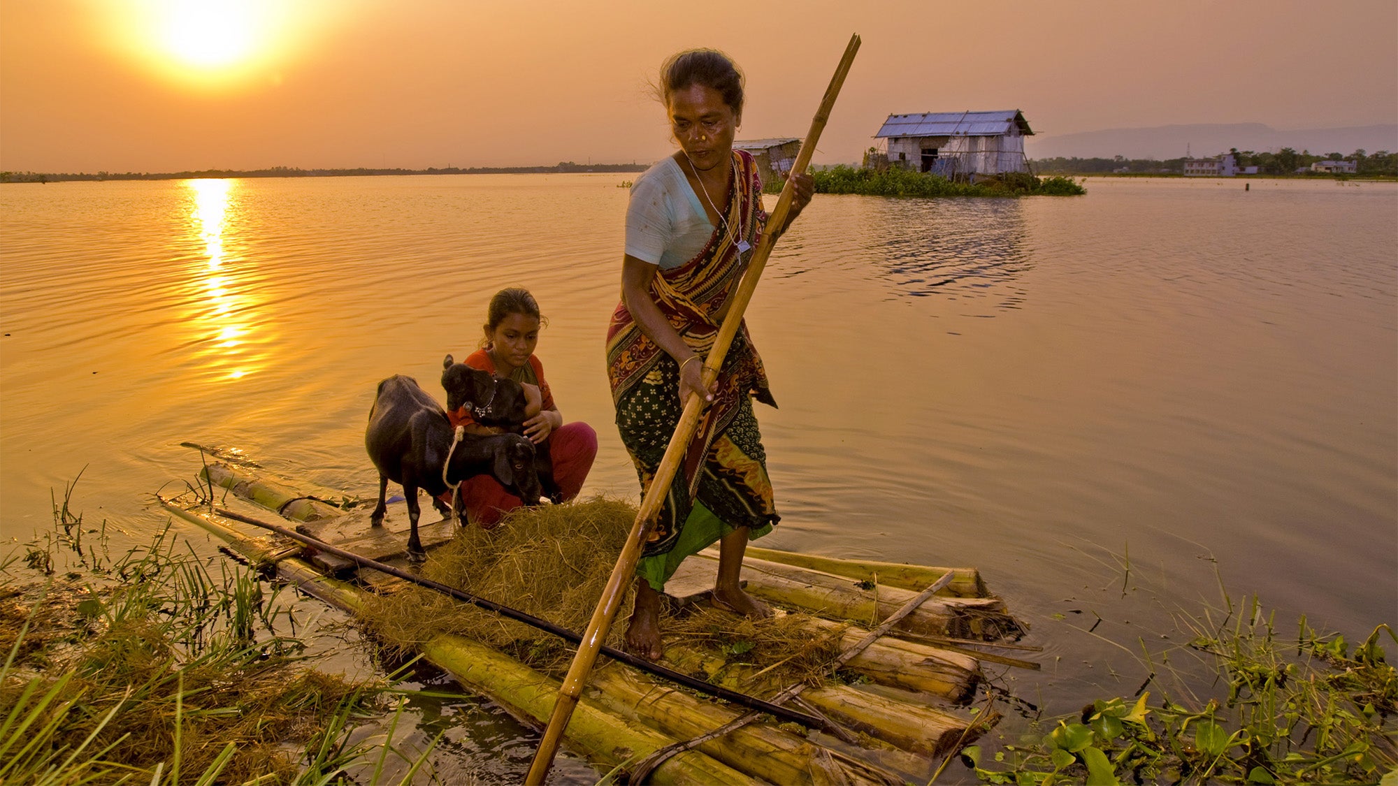 A woman pushes a wooden raft with a goat and child on it